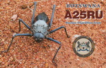 A25RU Botswana (2021)